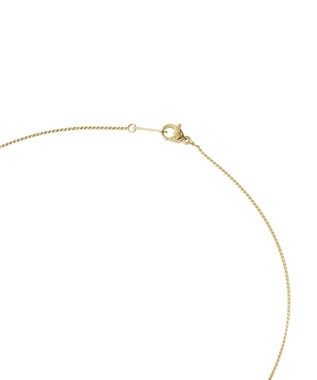 Green Parks 【ステンレス】Ｙ字２連ネックレス Gold