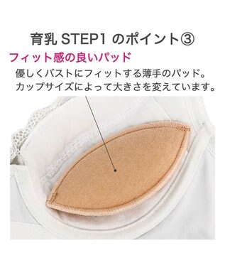 BRADELIS New York 【BRADELIS New York / 育乳補整ブラ・STEP1 集める】ウェンディステップ1ブラ24A2 ブラデリス ブラジャー 補正 ホワイト