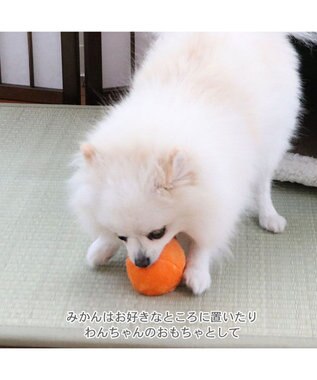 PET PARADISE ペットパラダイス キルトこたつハウス 40cm 赤