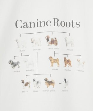 AMERICAN HOLIC アソートアニマルロングＴシャツ D