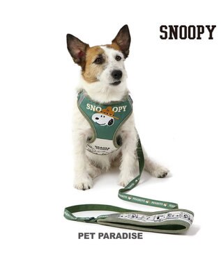 PET PARADISE スヌーピー ハーネス＆リード 《ビーグルスカウト柄》 ＳＳ 小型犬 50周年