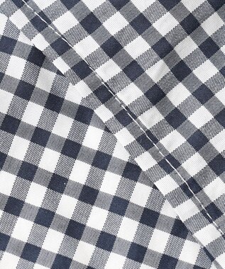 J.PRESS LADIES S 【洗える】アセVisギンガム バンドカラー ブラウス ネイビー系