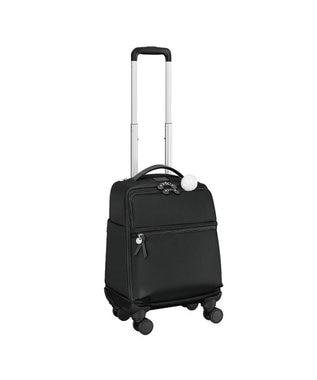ACE BAGS & LUGGAGE Kanana project カナナプロジェクトマイトローリー 荷物の出し入れラクラク 普段使い~1泊程度のコンパクトサイズ 24L 機内持込 35512