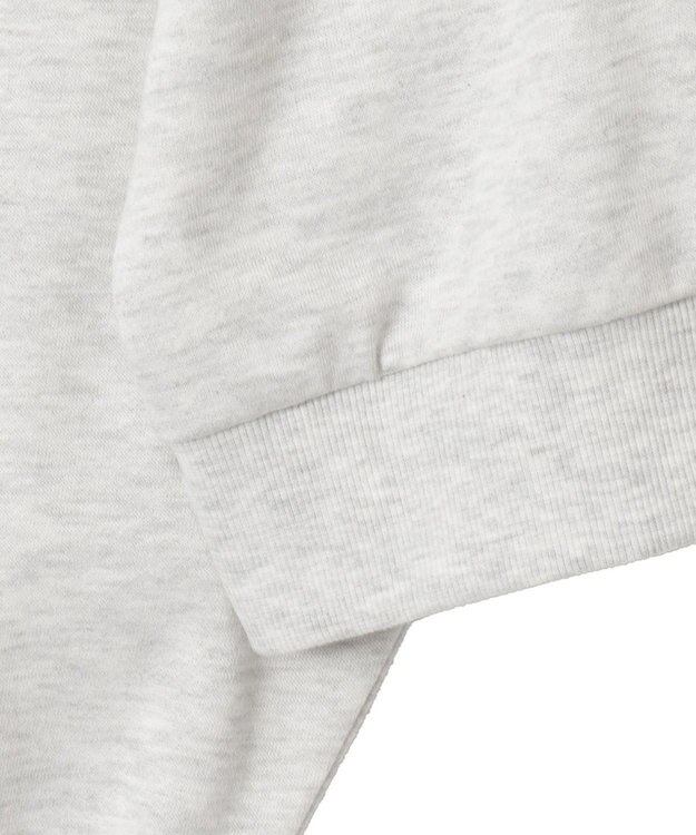 WEGO フォームプリントロゴスウェット ライトグレー