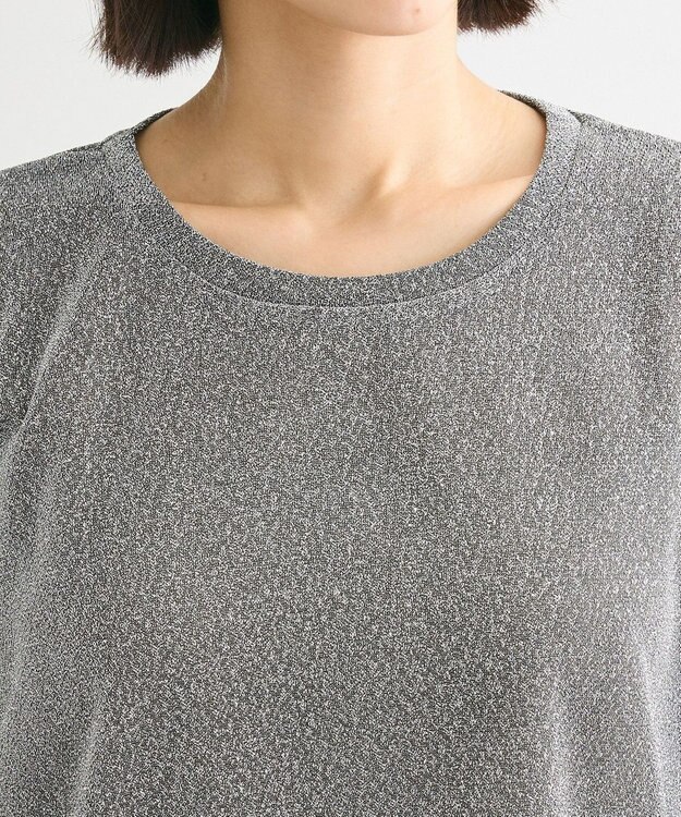 Green Parks 袖チュールドッキングラメプルオーバー Black