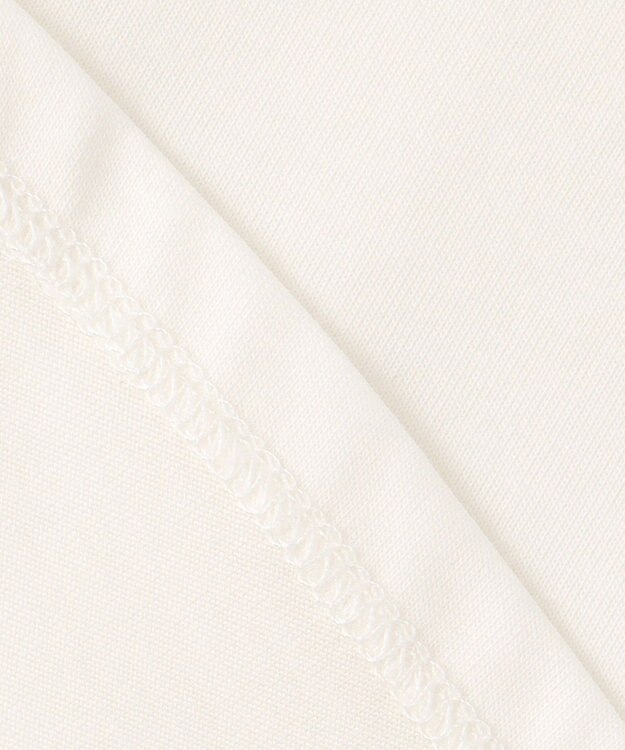 J.PRESS LADIES L シアーボーダーツイン カットソー シーブルー系1