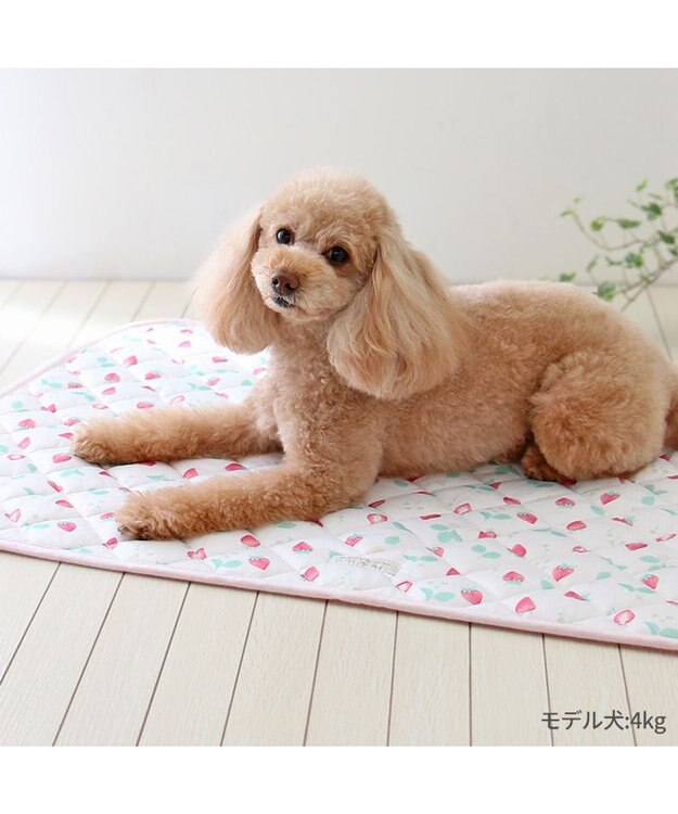 PET PARADISE ペットパラダイス クール マット 《いちご＆お花柄》 90×60㎝ いちご＆お花柄