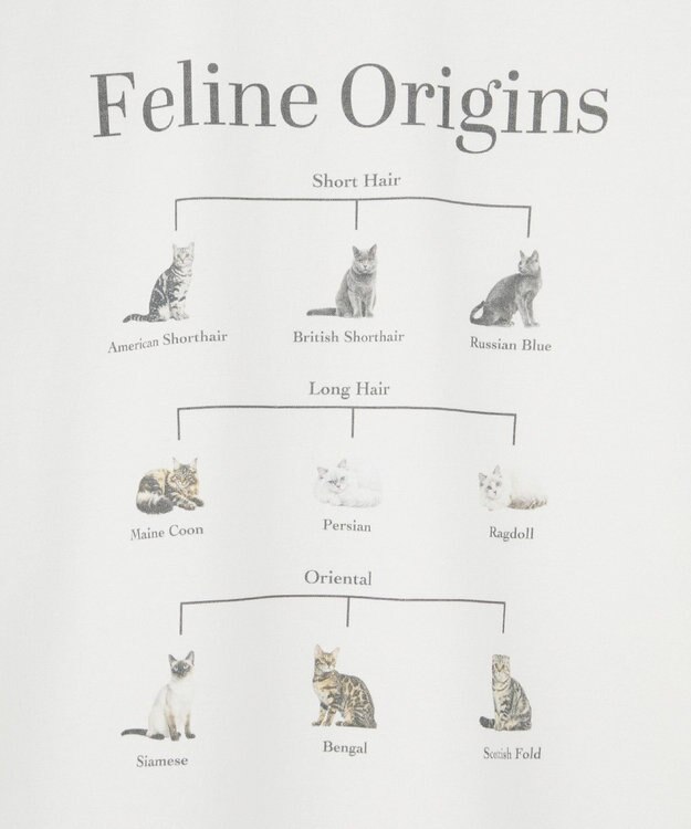 AMERICAN HOLIC アソートアニマルロングＴシャツ C