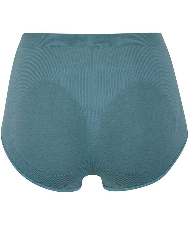 Wing ショーツ ここちよいフィット感 やさしい肌あたり 【デイリーフィット ヒップフィット】 深ばきタイプ はきこみ丈ふかめ EC1955 ウイング／ワコール ブルー