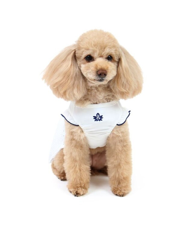 PET PARADISE ペットパラダイス エコメイド 天竺 刺繍 ワンピース 小型犬 ホワイト