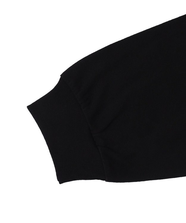 WEGO 【ユニセックス着用ITEM】別注VISIONゴーストスケータープリントT（LS） ブラック