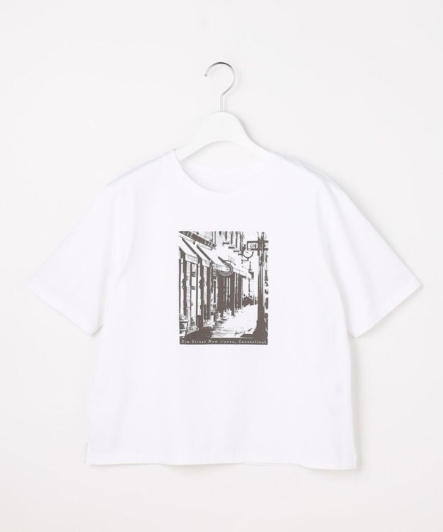 J.PRESS LADIES プリント Ｔシャツ ホワイト系