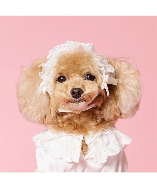 PET PARADISE cherircouture ヘッドドレス ４Ｓ～３Ｓ / ＳＳ～Ｓ ホワイト