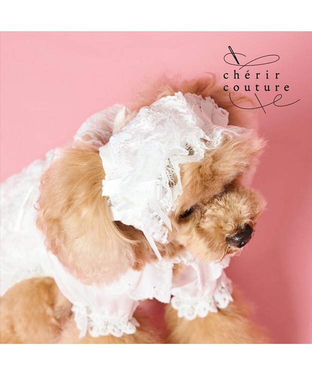 PET PARADISE cherircouture ヘッドドレス ４Ｓ～３Ｓ / ＳＳ～Ｓ ホワイト