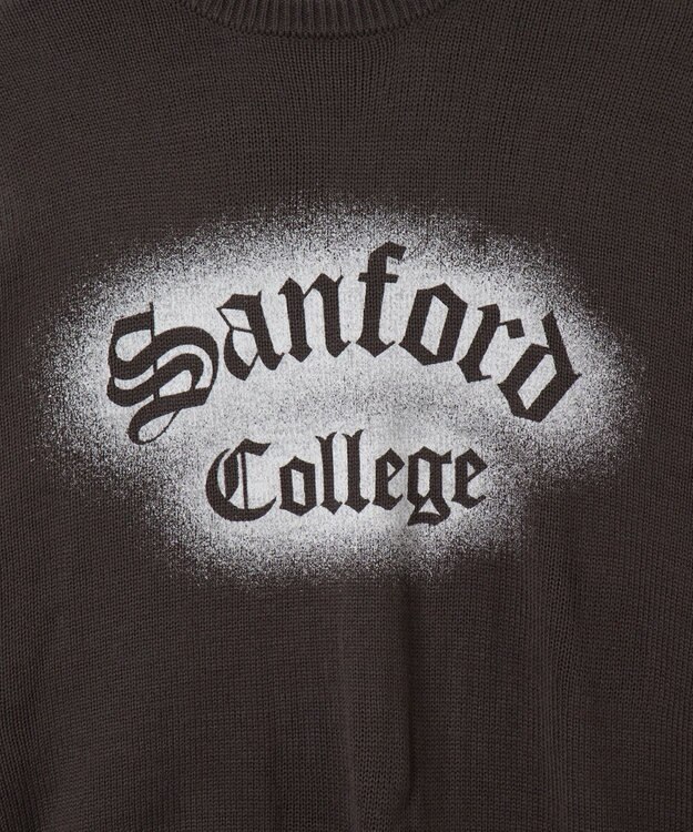 WEGO グラフィックニットBIGプルオーバー 柄16