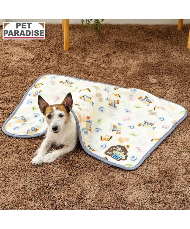 PET PARADISE ディズニー トイ・ストーリー ボア ブランケット 《総柄》 オフホワイト