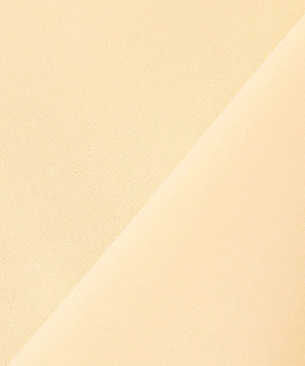 uncrave 【吸水速乾・接触冷感・洗濯機洗い可】シアーボイル ボリュームスリーブブラウス（uncrave STANDARD） イエロー