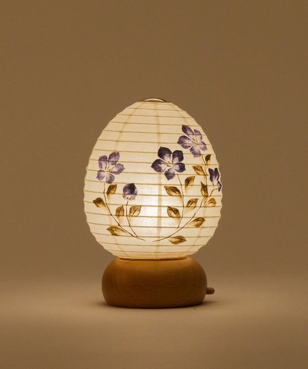 ちょうちん堂 【あかり道】〈手書絵付〉枯色桔梗 ちょうちん ライト ホワイト