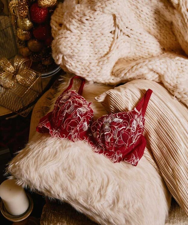 San-ai Resort（三愛水着楽園） 【エレガントコレクション2311】単品ブラBCDカップ 【northerly】 レッド