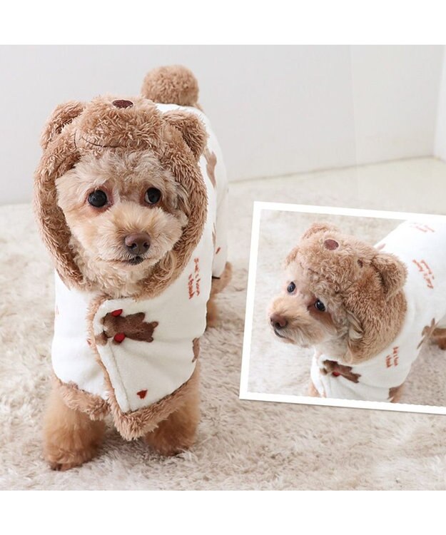 PET PARADISE ペットパラダイス くま 着る毛布 《ハート柄》 小型犬 ハート柄