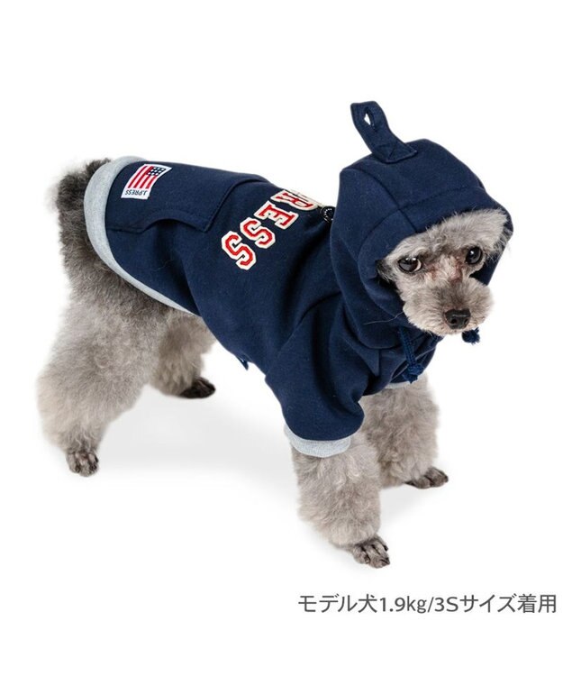 PET PARADISE J.PRESS ロゴ 裏起毛 パーカー 小型犬 ネイビー