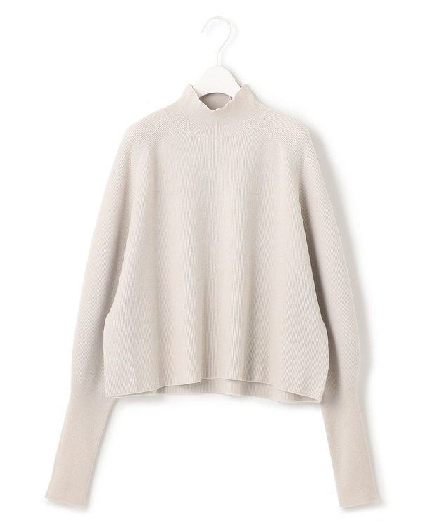 ICB L 【WEB限定カラーあり】 ソフトウールハイゲージ ハイネックニット トープ系