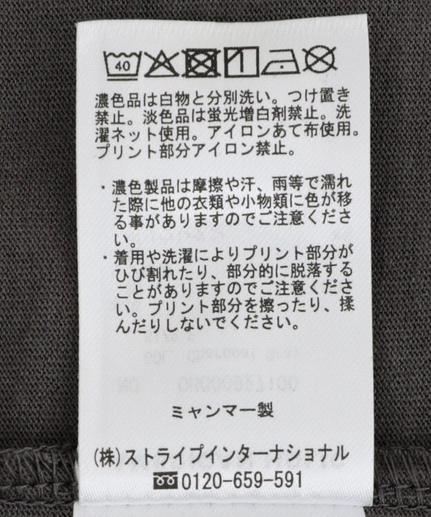 AMERICAN HOLIC BOTANICAL PHOTO ロングTシャツ/チュニック Charcoal Gray