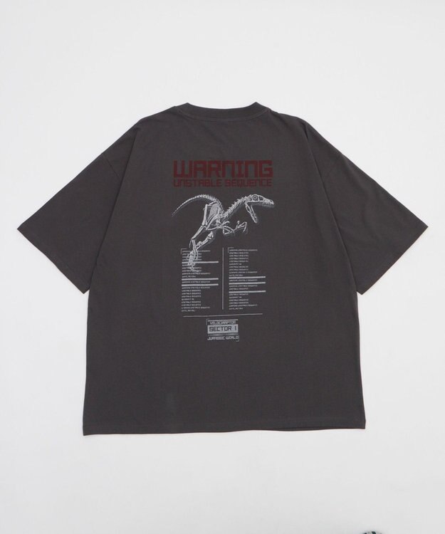 WEGO 【ユニセックス着用ITEM/SMLサイズ展開】JURASSIC　PARKグラフィックT（S） 柄4