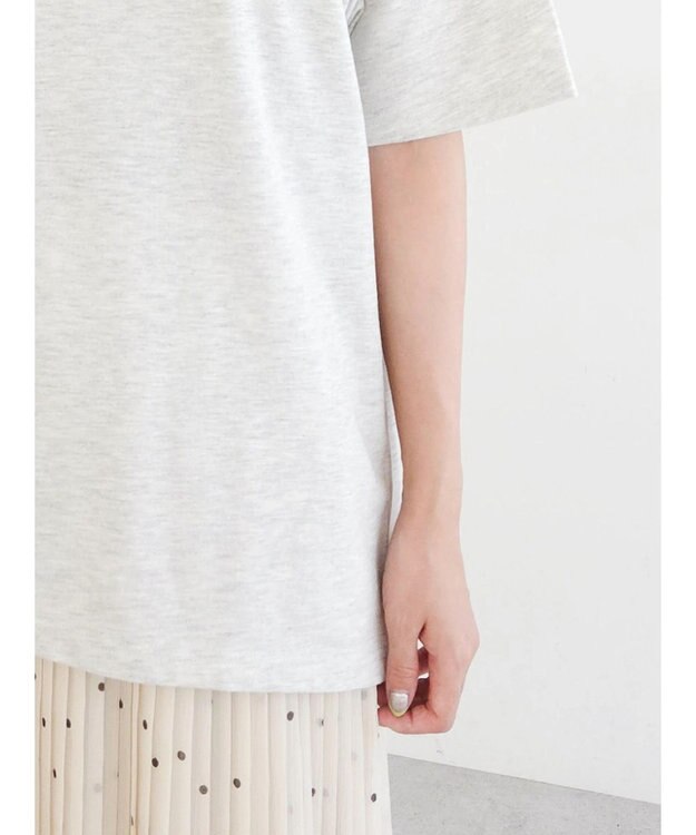 Green Parks ズートピア／バックフォトプリントＴＥＥ Oatmeal