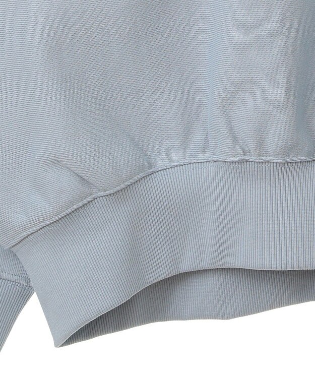 AMERICAN HOLIC ＳＴ．ＰＡＵＬロゴスウェット Sax