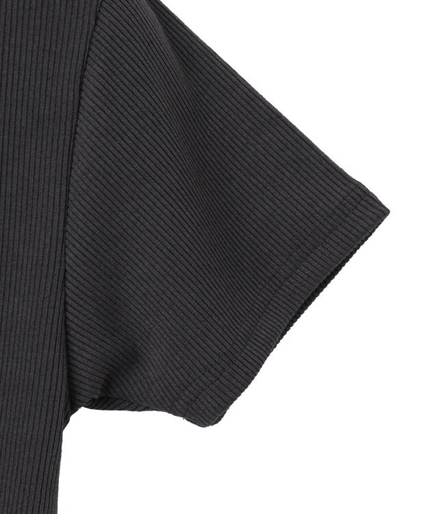 WEGO 刺繍スキッパードロストT スミクロ