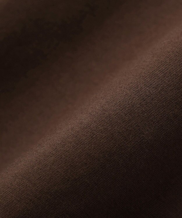 Green Parks 裾レースイレヘムフレンチＴシャツ Brown