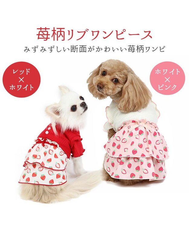 PET PARADISE 犬の服 犬 ワンピース 【小型犬】 苺柄 リブ ピンク レッド ホワイト×ピンク