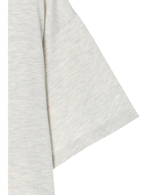 Green Parks ズートピア／バックフォトプリントＴＥＥ Oatmeal