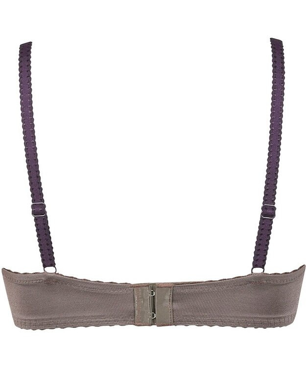 Wing Wing Lesiage　【2760シリーズ】　ブラジャー　ふっくらまる胸　カップ肌側綿混素材　ウイング／ワコール　PB2760 ブラウン