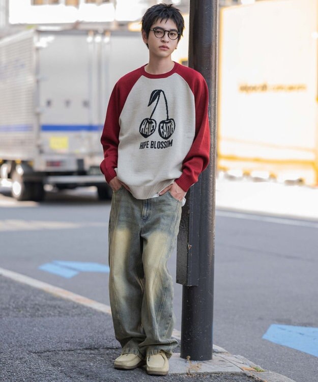 WEGO 【ユニセックス着用ITEM/SMLサイズ展開】ジャガードグラフィックプルオーバー 柄2