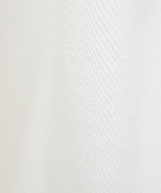 AMERICAN HOLIC フォト転写カットプルオーバー A