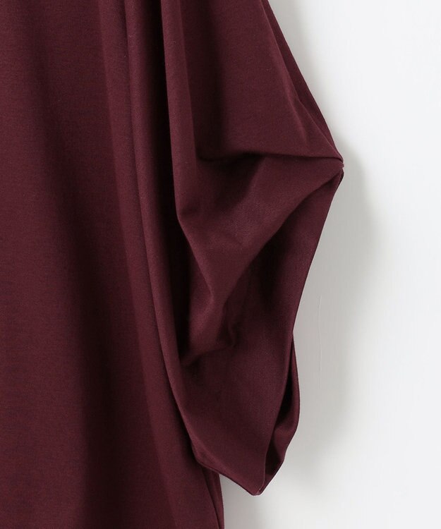 自由区 ナノシアースムース 袖デザイン カットソー ワイン系