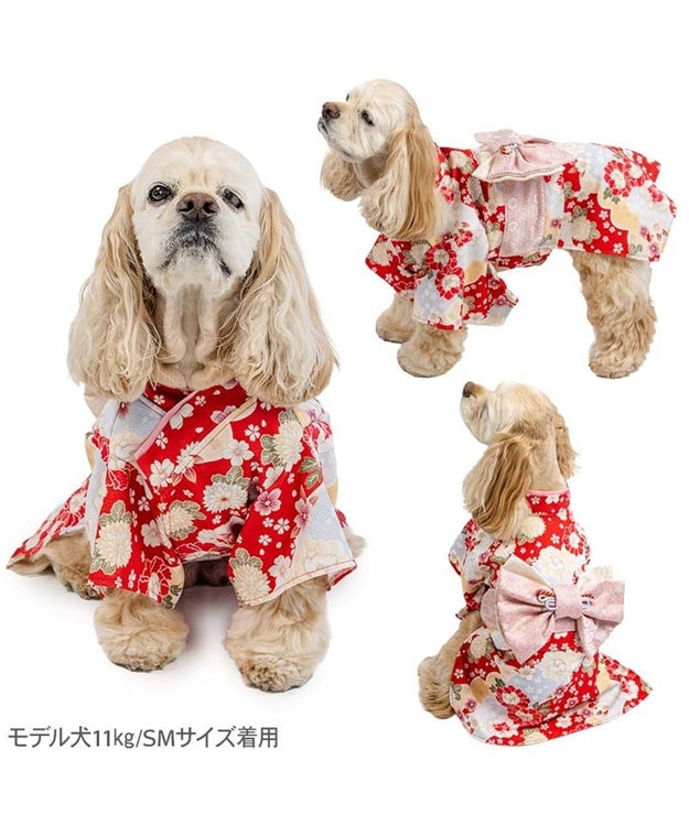 PET PARADISE ペットパラダイス 菊 牡丹 着物 中型犬 大型犬 レッド