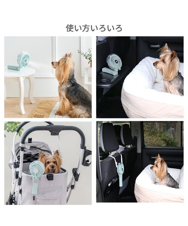 PET PARADISE 〔2026年モデル〕 ペットパラダイス ミスト ハンディファン 《ミントグリーン》 ミントグリーン