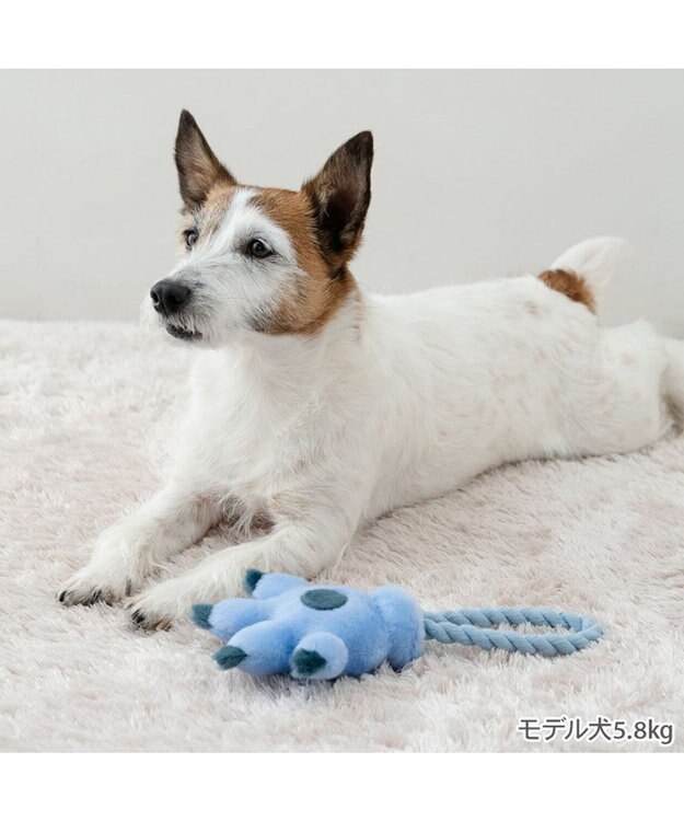 PET PARADISE ディズニー スティッチ 手のロープトイ ライトブルー