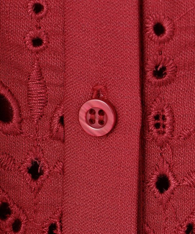 ANY SIS L 【洗える】カットワークエンブロイダリー ブラウス レッド