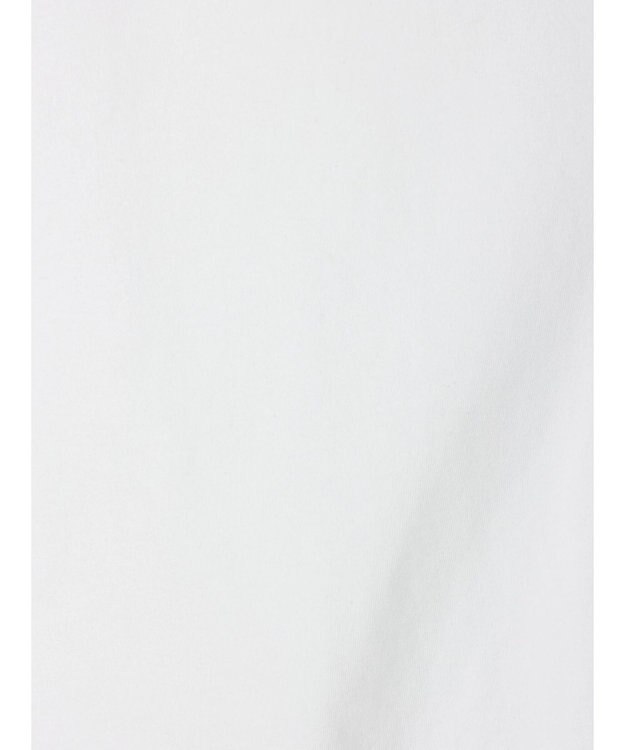 Green Parks ■ＪＵＲＡＳＳＩＣ　ＰＡＲＫ　ロゴｐｔラグランＴ White