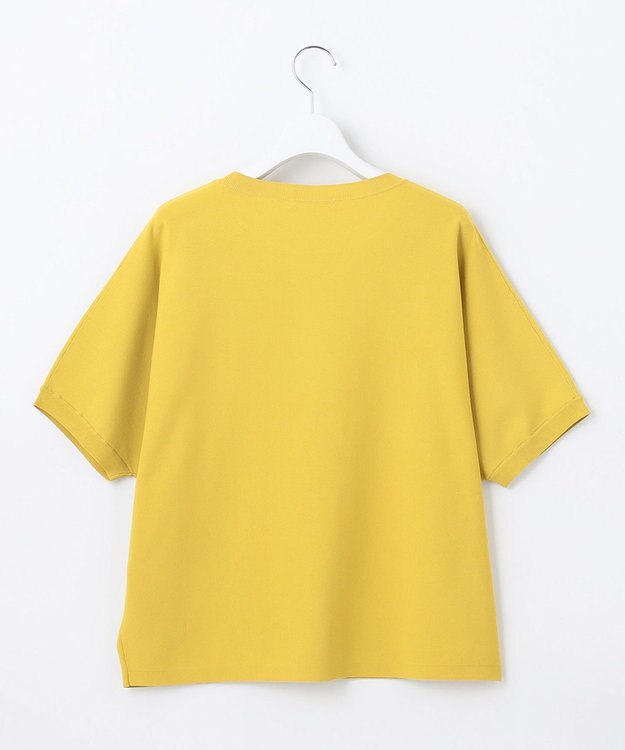 自由区 【WEB限定カラーあり・接触冷感・UVカット】クレープストレッチドルマン ニット ピスタチオ