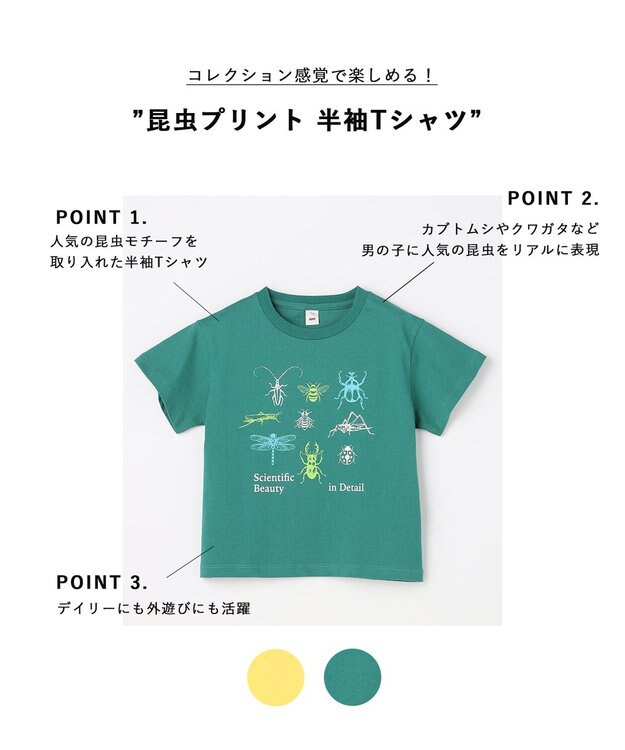 ANY KIDS 【綿100％】昆虫プリント 半袖Tシャツ グリーン