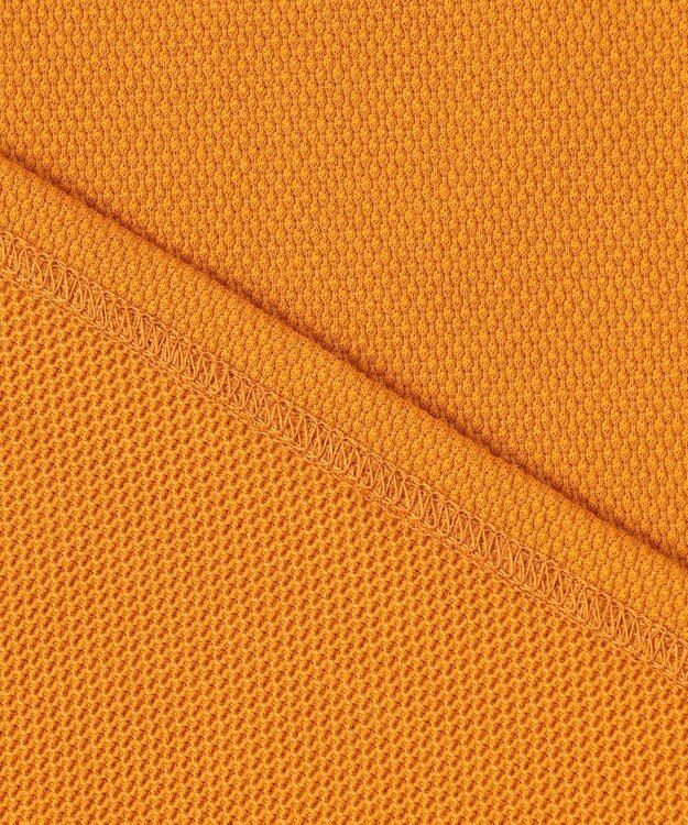 23区GOLF 【MEN】【吸水速乾・UVケア】ハニカムカノコ 長袖ポロシャツ イエロー系