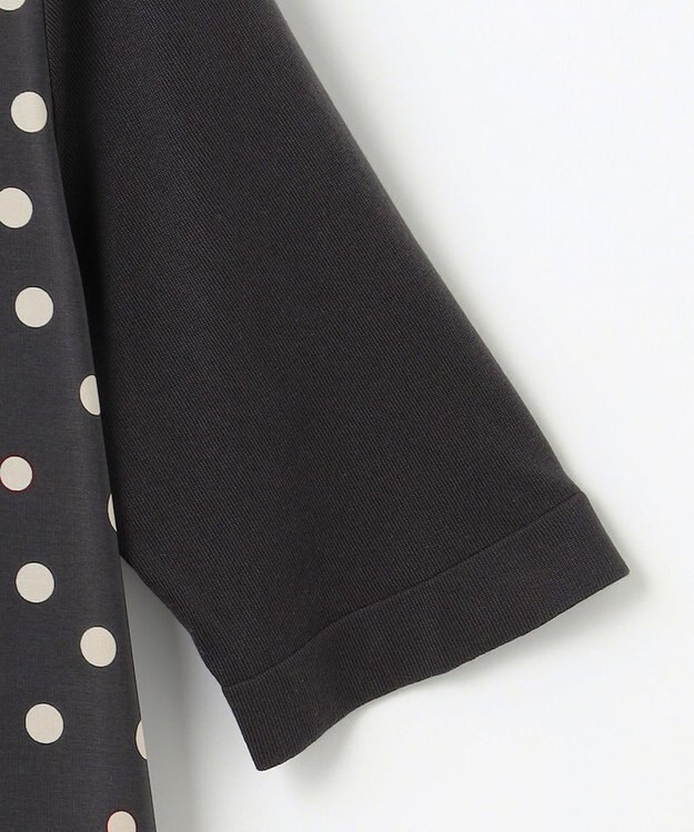 自由区 【アンサンブル対応・洗える】ポルカドットプリント プルオーバー アッシュ×アイボリー