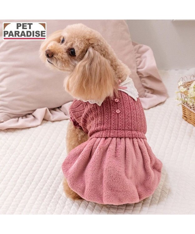PET PARADISE ペットパラダイス レース襟 ワンピース 小型犬 ピンク