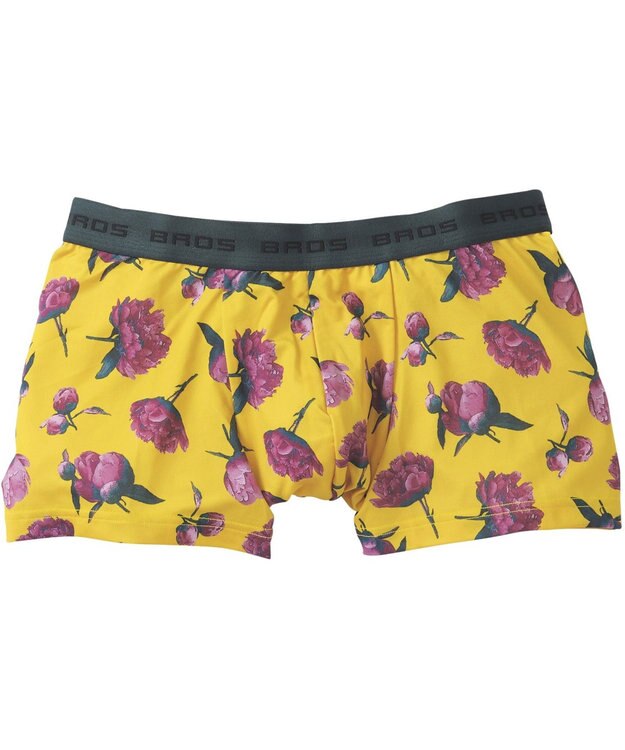 WACOAL MEN ボクサーパンツ 立体フロントで、快適キープ フロント快適設計 肌あたり軽減設計 前閉じ GT3220 /ブロス バイ ワコールメン イエロー