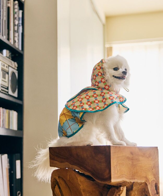 COQ PLAID ARGYLE ドッグポンチョ レインコート ベージュ